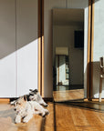 Espejo Rectangular 55 x 161 cms